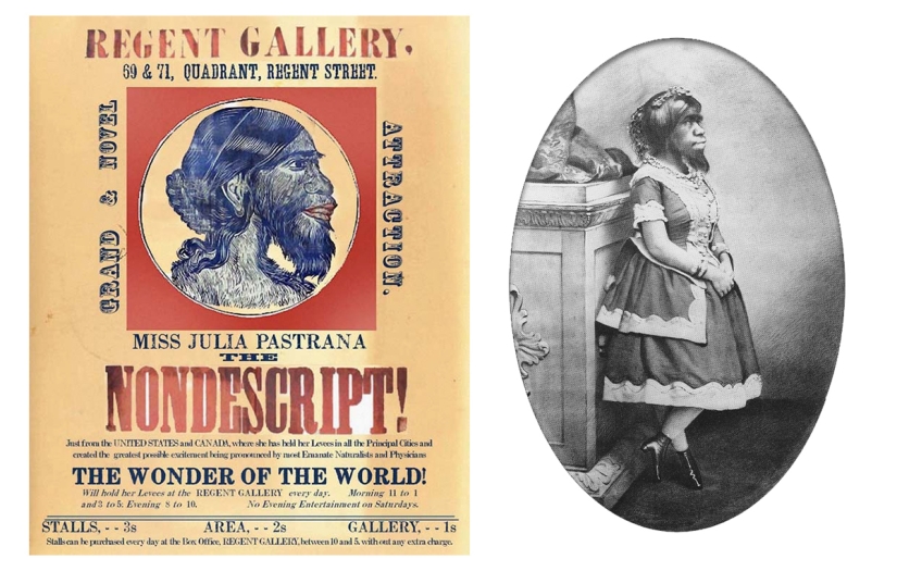 En la cara de un interior terrible y amable: la vida y muerte de una Julia barbuda, una monita de México