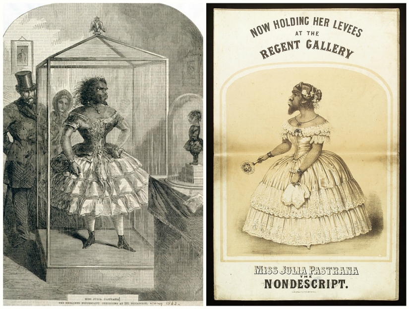 En la cara de un interior terrible y amable: la vida y muerte de una Julia barbuda, una monita de México