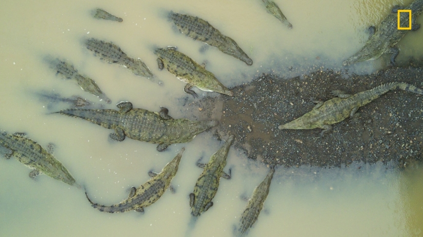 En la lente de la naturaleza: impresionantes imágenes del Concurso de Fotógrafos de Viajes de National Geographic 2018