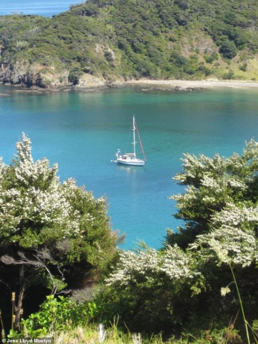 En la misma ola: la pareja ha estado viajando en alta mar durante 8 años y ha dado a luz a tres hijos durante este tiempo