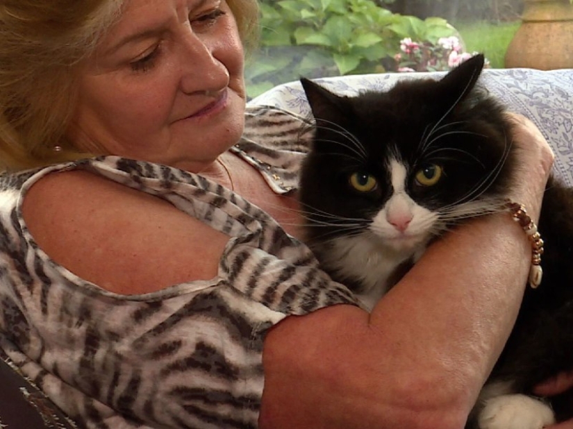 En Londres, buscan a un maníaco que mató a más de 360 animales en 2 años