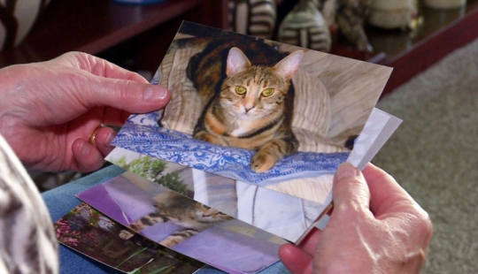 En Londres, buscan a un maníaco que mató a más de 360 animales en 2 años En Londres, buscan a un maníaco que mató a más de 360 animales en 2 años