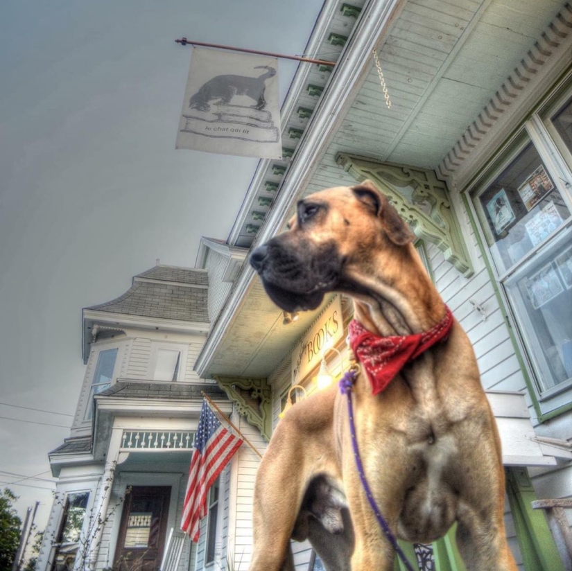 En los Estados Unidos, uno de los hermanos gemelos que interpretó los papeles principales en la comedia de los años 90 "Nannies" ha muerto