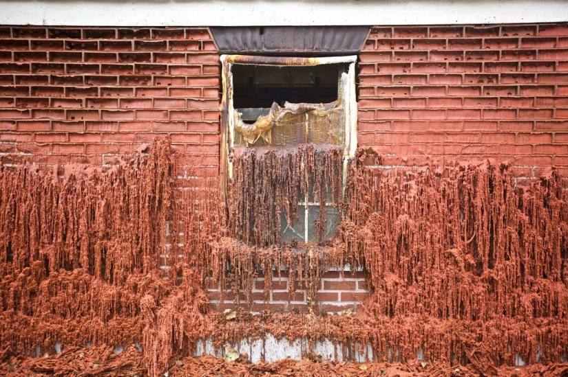 En manos de este británico, las casas se derriten, vuelan y se deslizan a los pies de los transeúntes