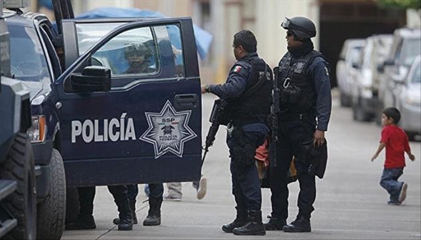 En México, un mono armado murió en un tiroteo entre cárteles de la droga En México, un mono armado murió en un tiroteo entre cárteles de la droga