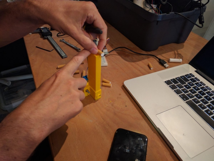 En Ámsterdam quieren enseñar a los cuervos a recoger colillas de cigarrillos