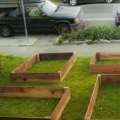 En solo 60 días, este tipo ha cultivado un jardín fresco frente a la casa