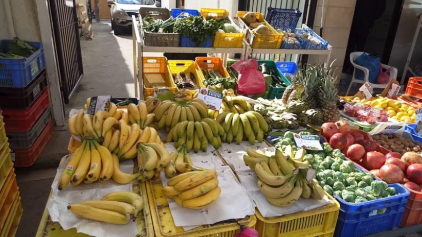 "En unos meses aullarás como un lobo": la historia de una mujer moscovita que se mudó a vivir a Chipre