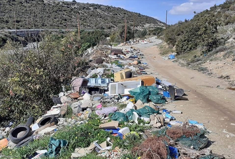 "En unos meses aullarás como un lobo": la historia de una mujer moscovita que se mudó a vivir a Chipre