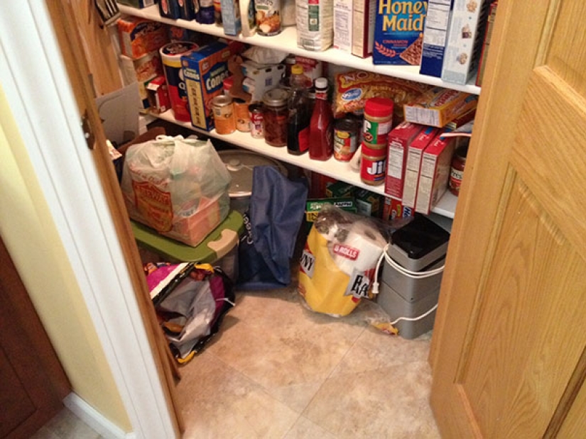 Encuentra un gato: astuto bigotudo a rayas, que no se puede encontrar en la foto