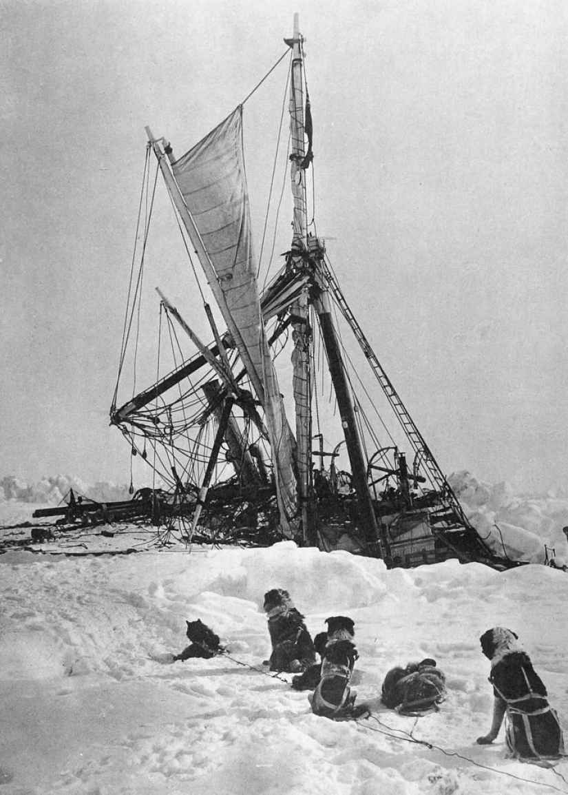 "Endurance", or the story of the survival of 28 people among the Antarctic ice in 1914-1916