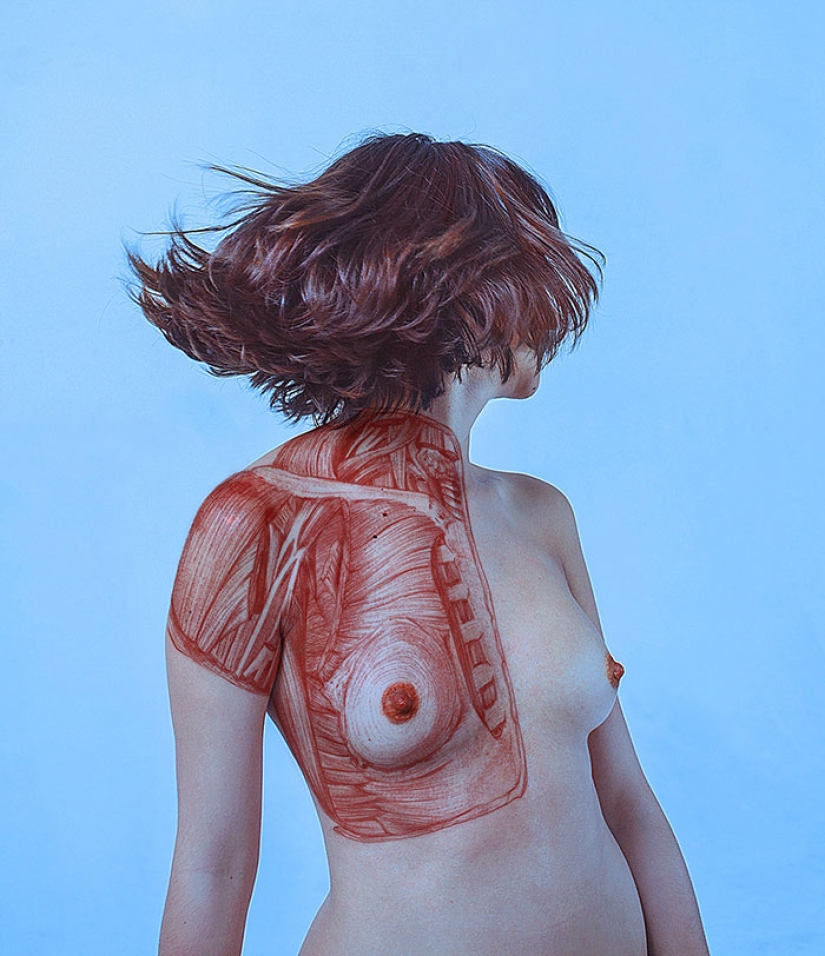 Erotismo y anatomía: muestra lo que se esconde debajo de la piel