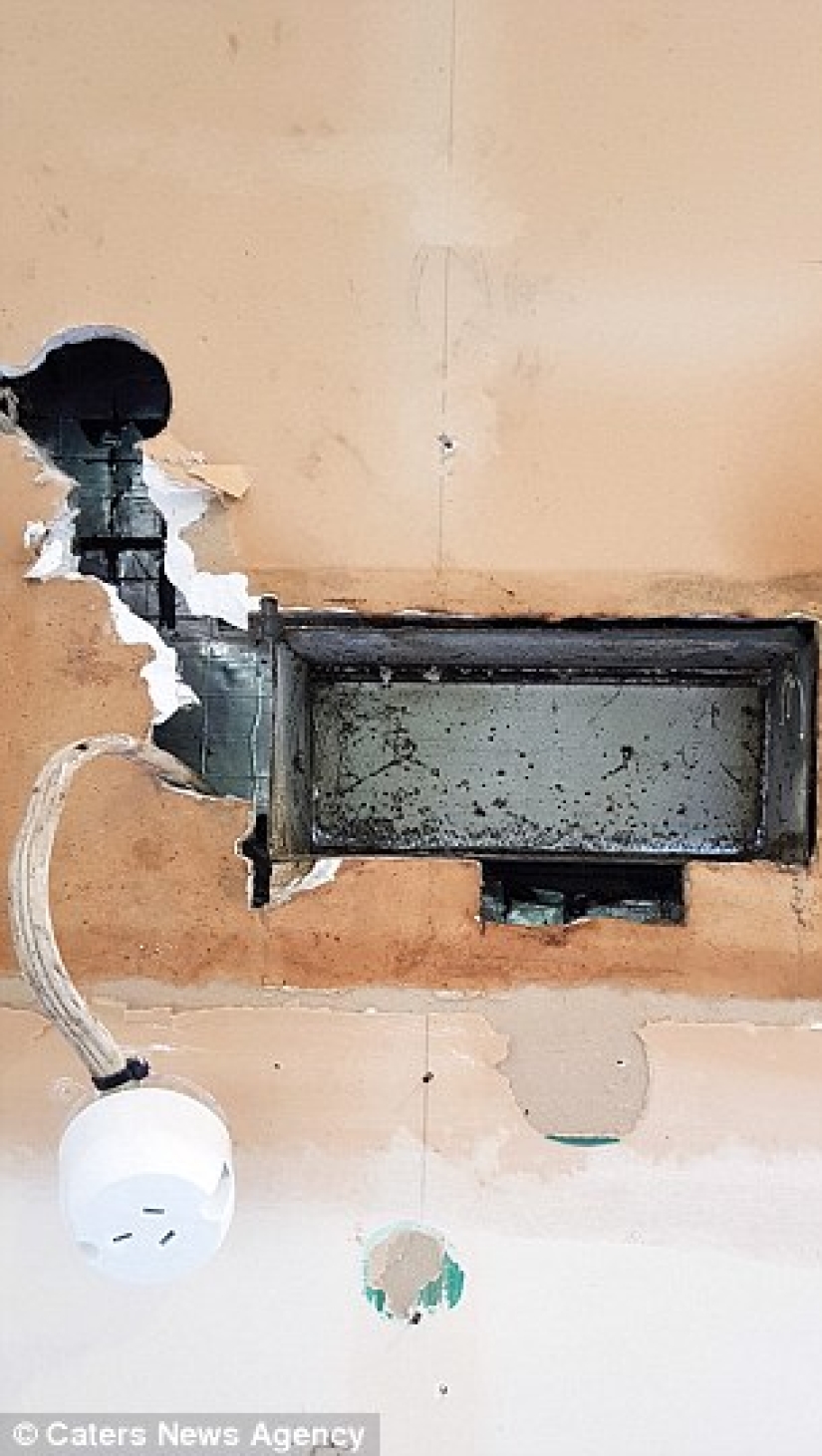 "Es porque alguien come demasiado": la zarigüeya intentó colarse en la cocina para darse un capricho, pero se quedó atascada a mitad de camino