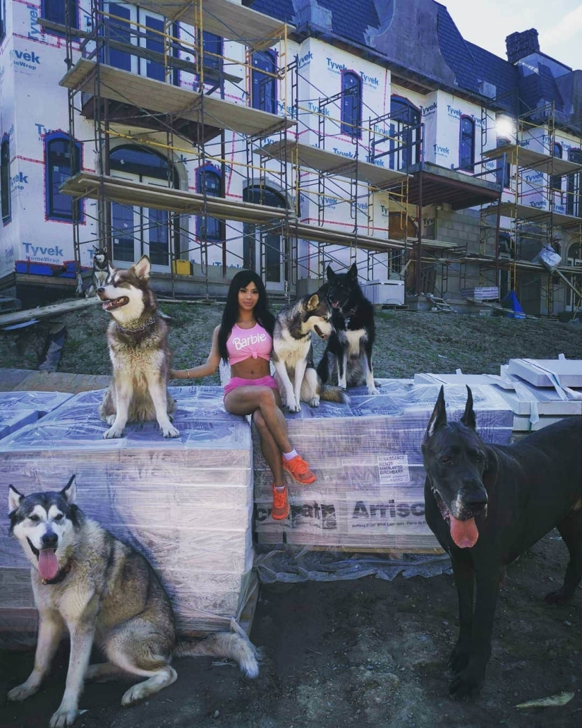 Es un perro o un caballo? El Gran Trueno Danés mide más de 2 metros de altura y pesa 95 kilos