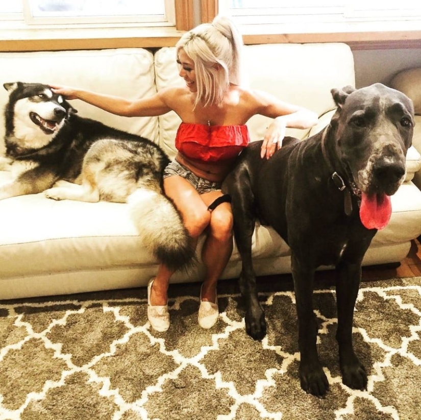 Es un perro o un caballo? El Gran Trueno Danés mide más de 2 metros de altura y pesa 95 kilos