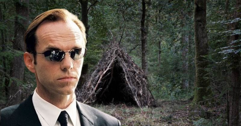 Escape de la "Matriz": madre escondió a los niños en el bosque de astillas y casi murió de hambre