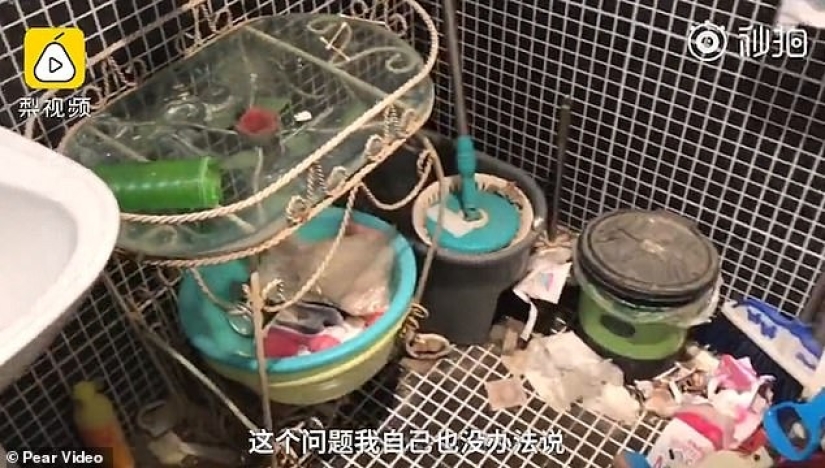 Escándalo sucio: la casera enojada del apartamento mostró el srach en el que vive la glamorosa bloguera Escándalo sucio: la casera enojada del apartamento mostró el srach en el que vive la glamorosa bloguera