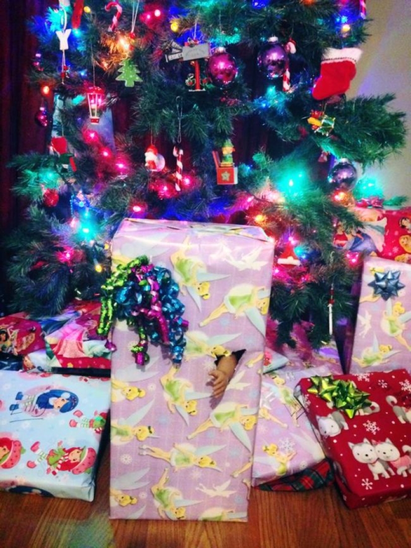 Esperas una guitarra y obtienes una camiseta: Sorpresas navideñas de nobles trolls Esperas una guitarra y obtienes una camiseta: Sorpresas navideñas de nobles trolls