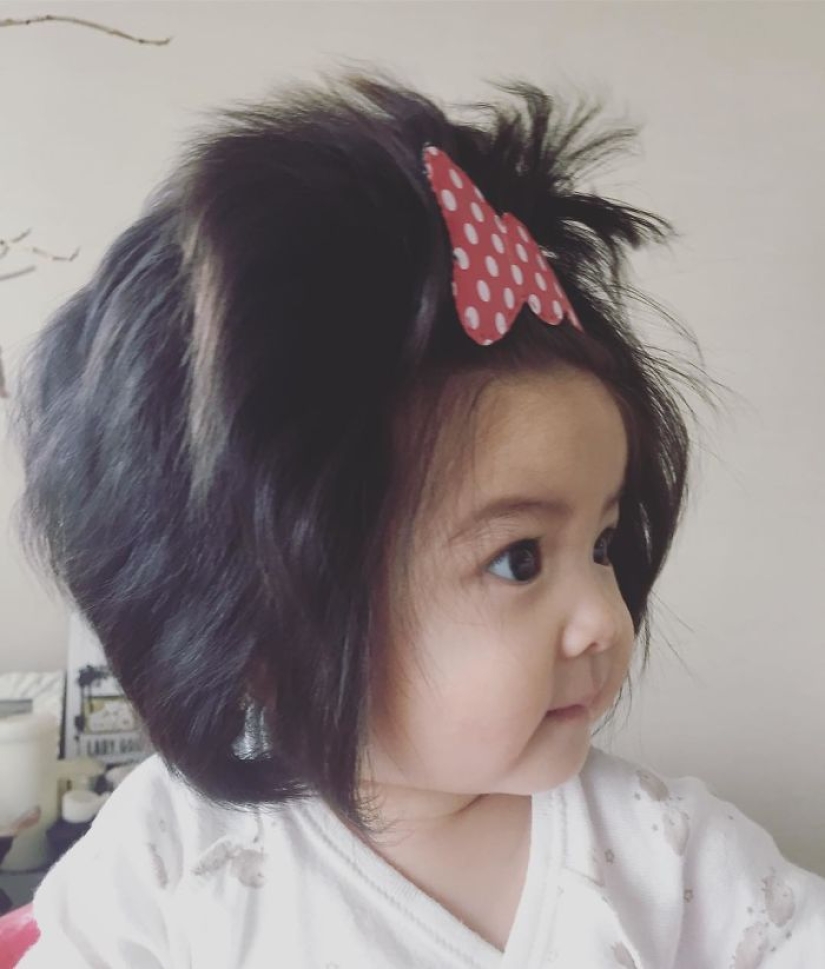 Esta niña tiene solo seis meses, pero su cabello es increíble. Esta niña tiene solo seis meses, pero su cabello es increíble.