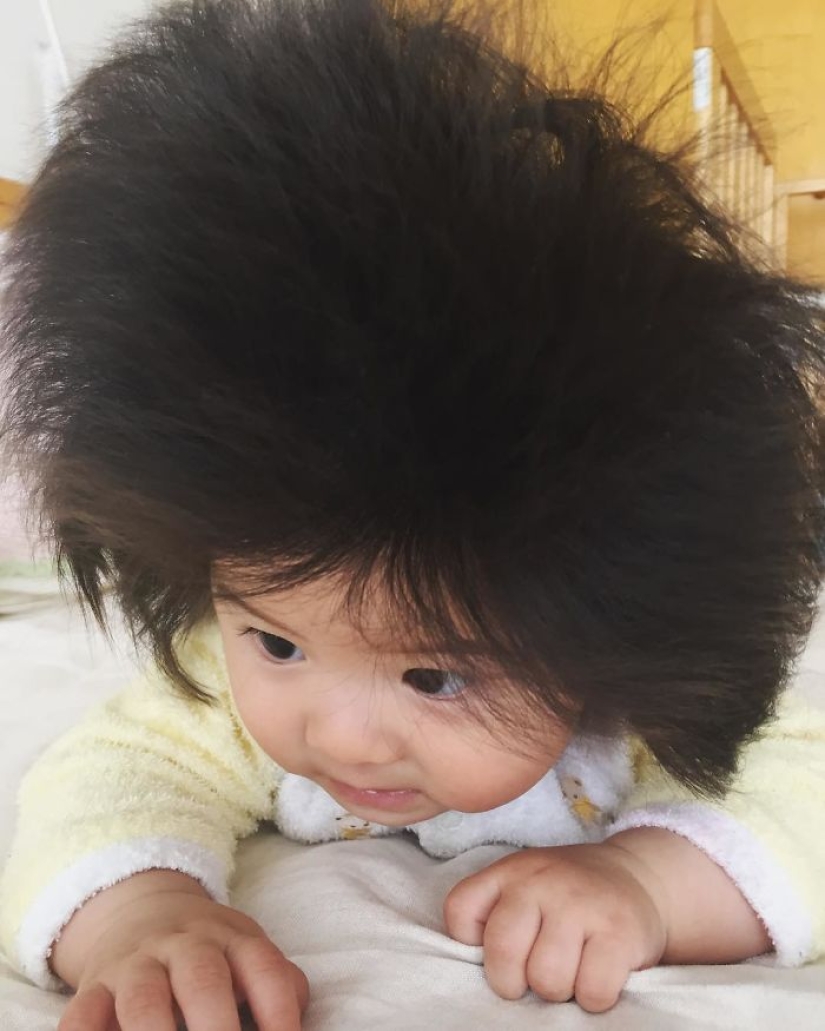Esta niña tiene solo seis meses, pero su cabello es increíble. Esta niña tiene solo seis meses, pero su cabello es increíble.