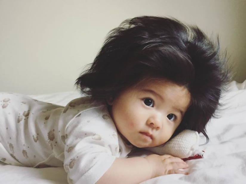 Esta niña tiene solo seis meses, pero su cabello es increíble. Esta niña tiene solo seis meses, pero su cabello es increíble.