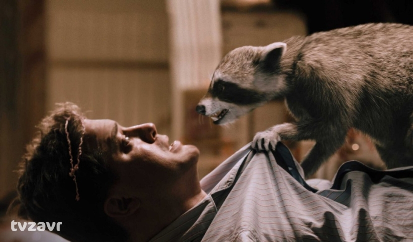 Estados Divertidos: 7 Comedias Americanas Asesinas