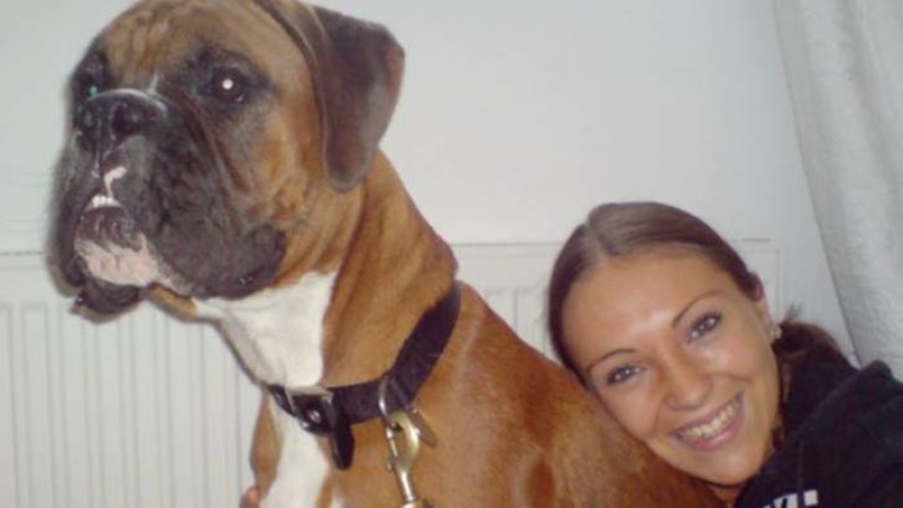 Estos cónyuges clonaron con éxito a su perro después de su muerte Estos cónyuges clonaron con éxito a su perro después de su muerte