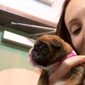 Estos cónyuges clonaron con éxito a su perro después de su muerte