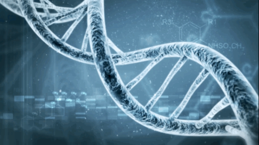 Estos cónyuges clonaron con éxito a su perro después de su muerte Estos cónyuges clonaron con éxito a su perro después de su muerte