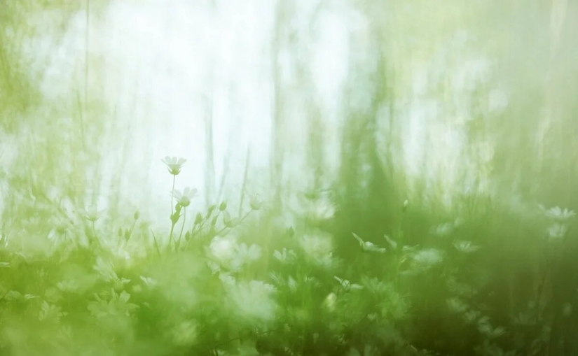 Estreno del Foro de la Unión de Fotógrafos de Vida Silvestre-Nature Photo Talks