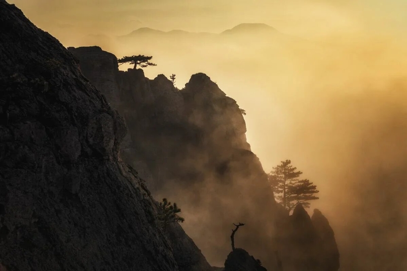 Estreno del Foro de la Unión de Fotógrafos de Vida Silvestre-Nature Photo Talks