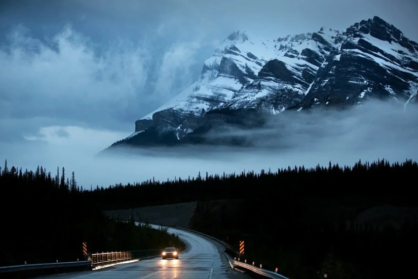 Estreno del Foro de la Unión de Fotógrafos de Vida Silvestre-Nature Photo Talks