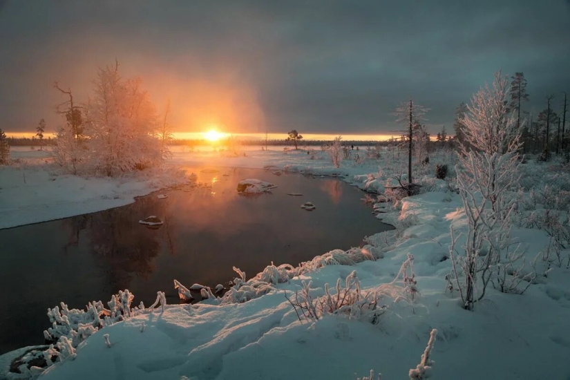 Estreno del Foro de la Unión de Fotógrafos de Vida Silvestre-Nature Photo Talks