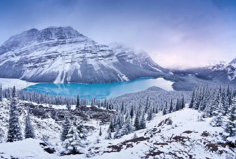 Estreno del Foro de la Unión de Fotógrafos de Vida Silvestre-Nature Photo Talks