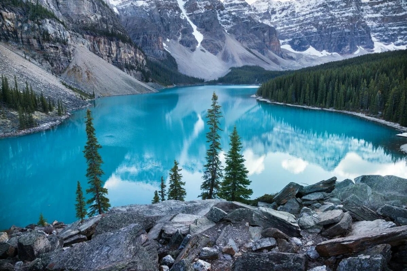 Estreno del Foro de la Unión de Fotógrafos de Vida Silvestre-Nature Photo Talks