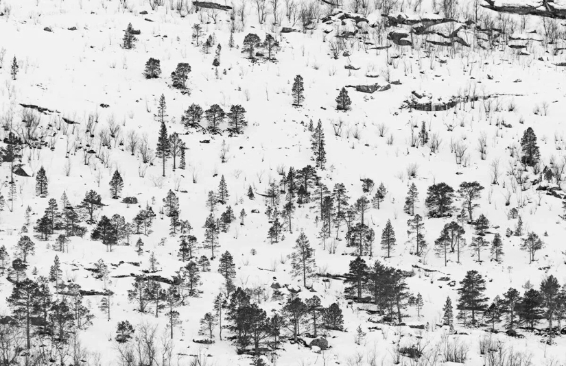 Estreno del Foro de la Unión de Fotógrafos de Vida Silvestre-Nature Photo Talks