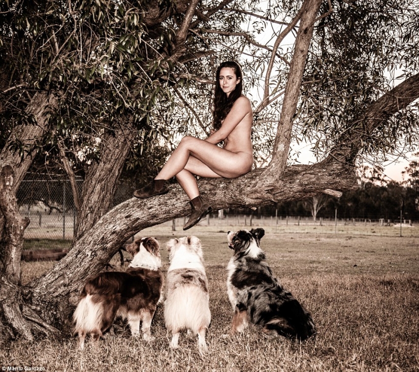 Estudiantes de la Universidad de Sydney se desnudaron para el calendario de caridad Estudiantes de la Universidad de Sydney se desnudaron para el calendario de caridad
