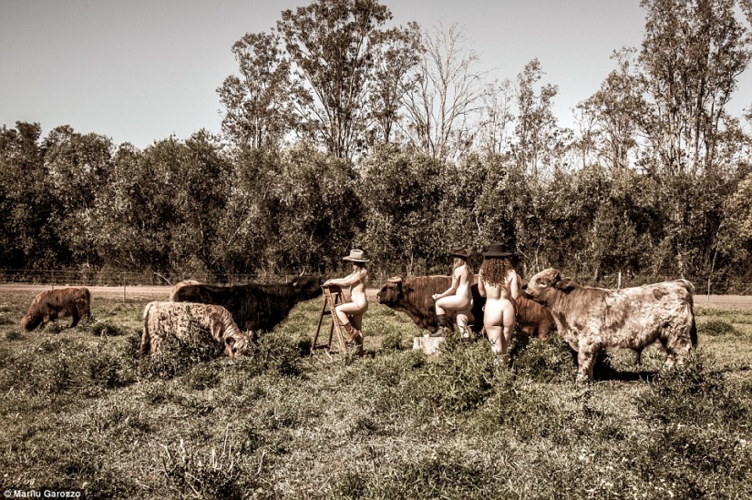 Estudiantes de la Universidad de Sydney se desnudaron para el calendario de caridad Estudiantes de la Universidad de Sydney se desnudaron para el calendario de caridad