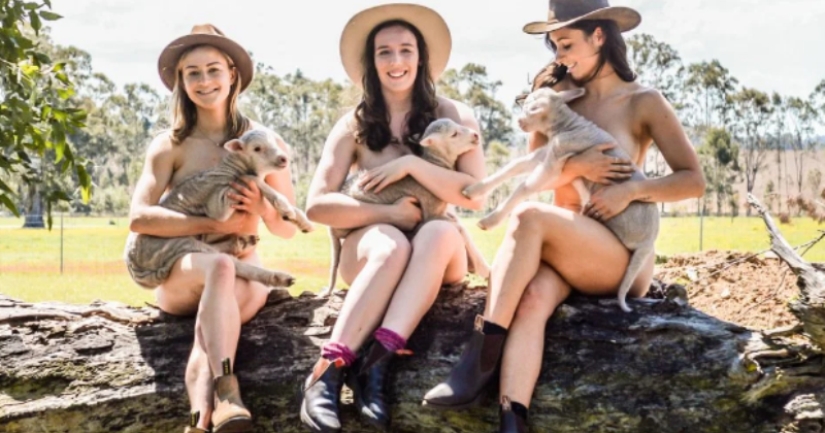 Estudiantes de veterinaria australianos se desnudan para luchar contra el suicidio