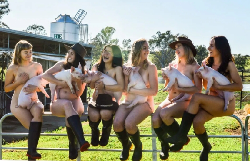 Estudiantes de veterinaria australianos se desnudan para luchar contra el suicidio