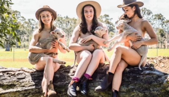 Estudiantes de veterinaria australianos se desnudan para luchar contra el suicidio