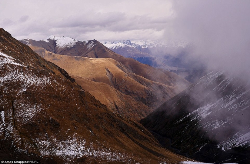 Every year thousands of sheep in Georgia make a dangerous journey from the mountains with a height of 3000 meters