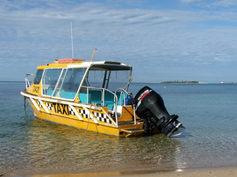 Examples of the most unusual taxis: 10 photos