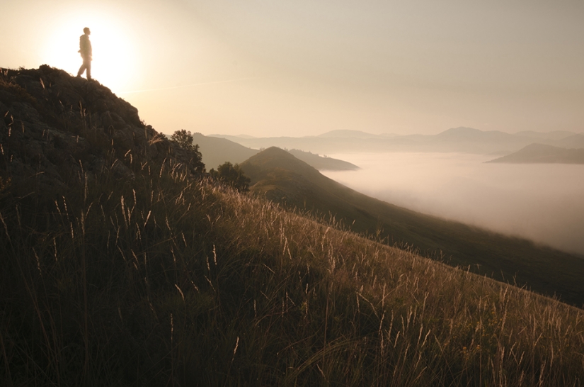 Exclusive photos from a closed exhibition dedicated to the impassable Tigirek Nature Reserve Exclusive photos from a closed exhibition dedicated to the impassable Tigirek Nature Reserve
