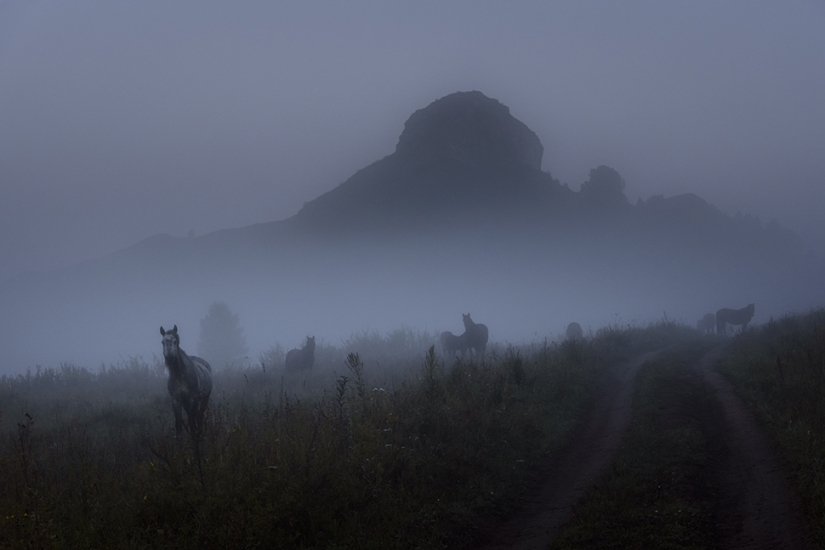 Exclusive photos from a closed exhibition dedicated to the impassable Tigirek Nature Reserve Exclusive photos from a closed exhibition dedicated to the impassable Tigirek Nature Reserve