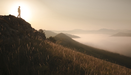 Exclusive photos from a closed exhibition dedicated to the impassable Tigirek Nature Reserve
