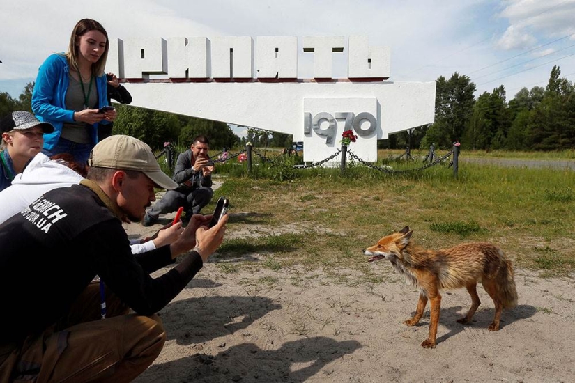 Excursions to Chernobyl: how is the rest in the Exclusion Zone