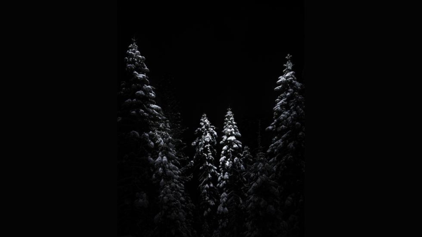 Exorcists of darkness. Landscapes where the night is not colorless Exorcists of darkness. Landscapes where the night is not colorless