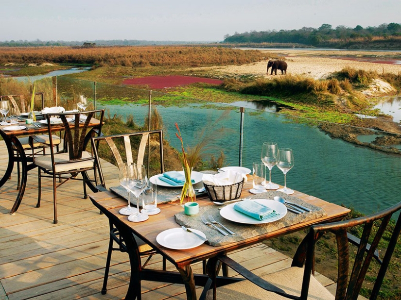 Experiencia Safari de siete estrellas Experiencia Safari de siete estrellas