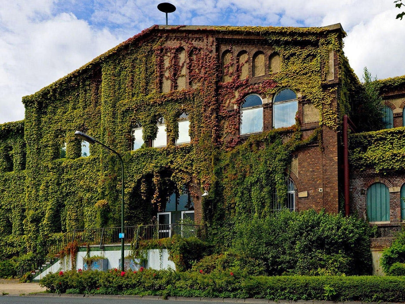 Fabuloso Devonshire Fabuloso Devonshire